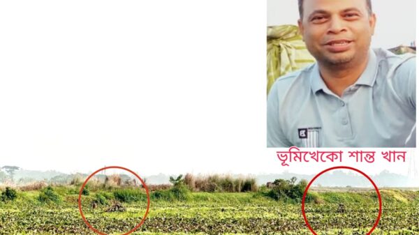 বাসাইলে সরকারি খাল কেটে ভরা হচ্ছে ফসলী জমি দেখার কেউ নেই