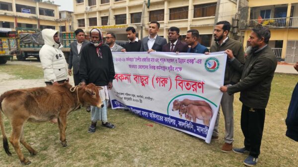 কালকিনিতে জেলেদের মাঝে বকনা বাছুর বিতরন, অনিয়মের অভিযোগে ১৩ টি বাছুর ফেরত!