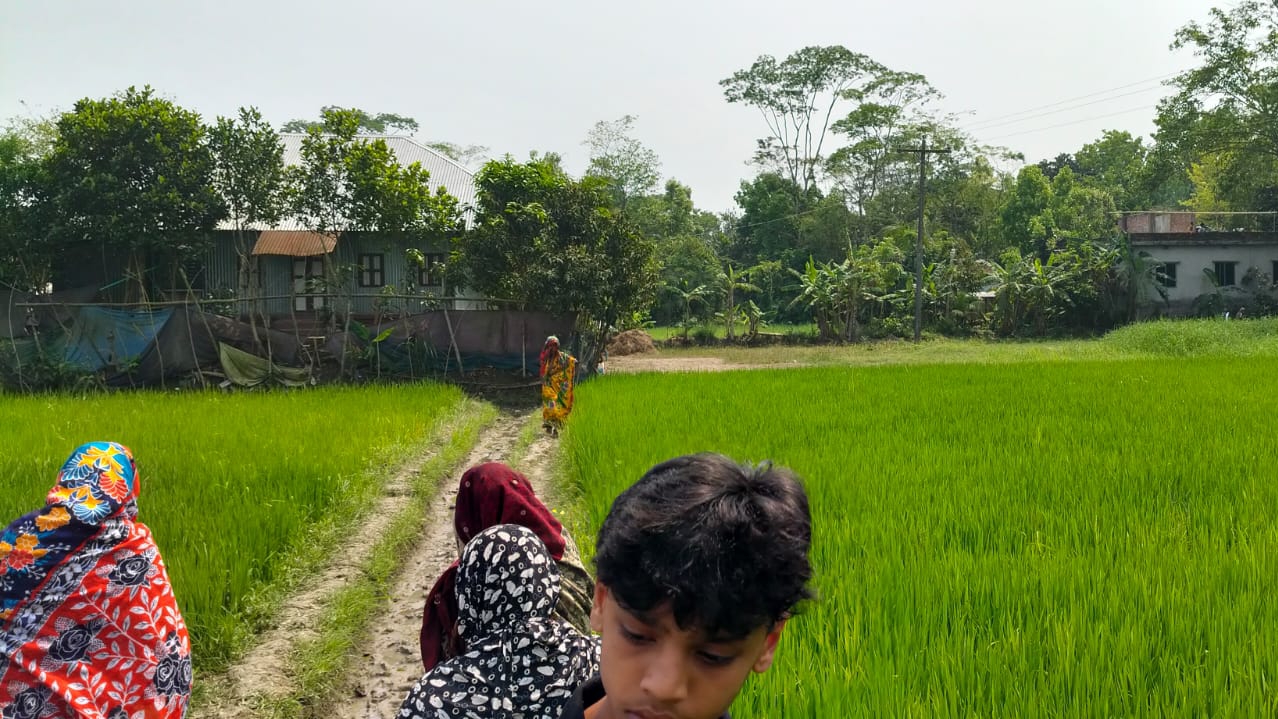 কালকিনিতে ধানক্ষেত থেকে অর্ধগলিত মরদেহ উদ্ধার