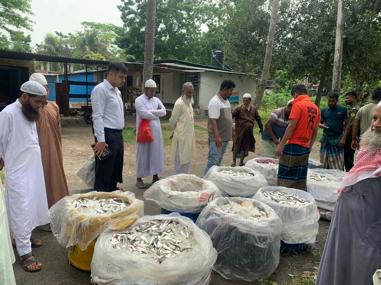কালকিনিতে অভিযানে ২৭ মণ জাটকা ইলিশ জব্দ, এতিমখানায় বিতরণ