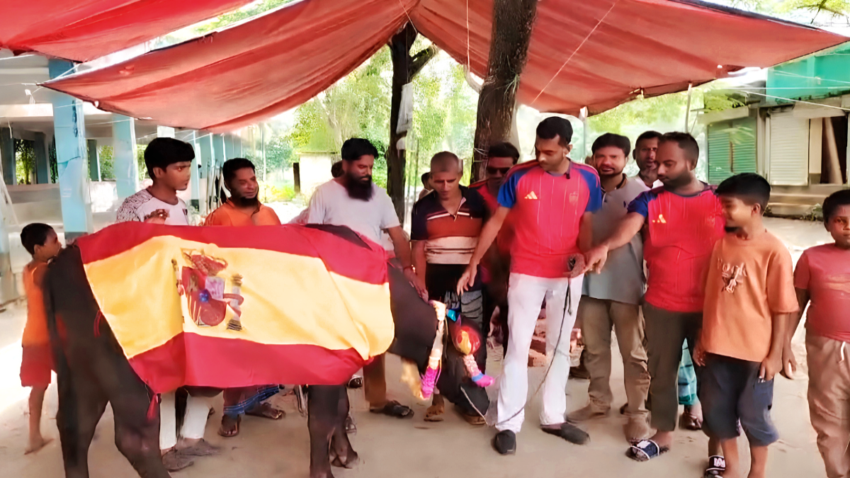 বিশ্বকাপ ফাইনালকে ঘিরে মাদারীপুরে মহিষ জবাই, সমর্থকদের ব্যাপক উচ্ছ্বাস